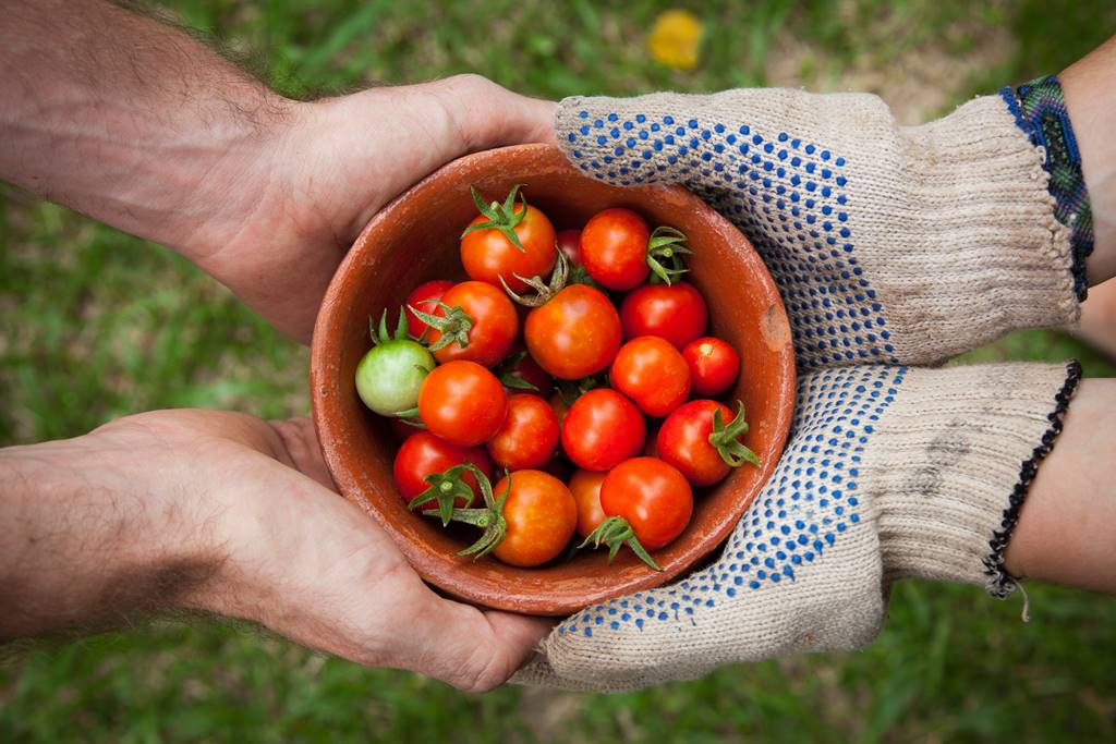 Aziende italiane che stanno crescendo tra cibo, cucina e tecnologia